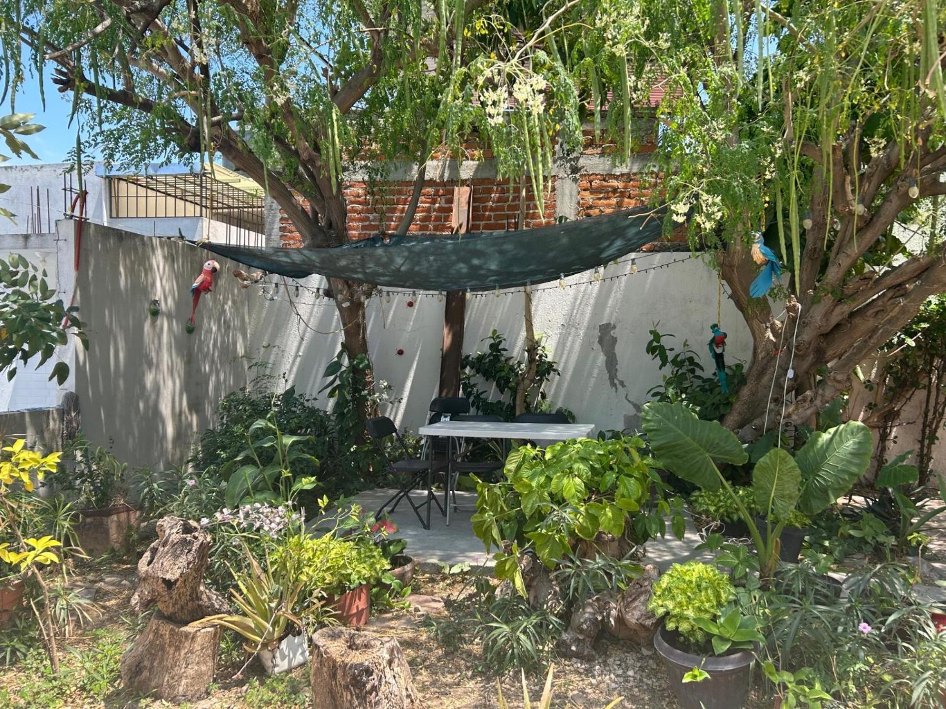 Tuxtla Gutiérrez Hotel Villa Esmeralda מראה חיצוני תמונה