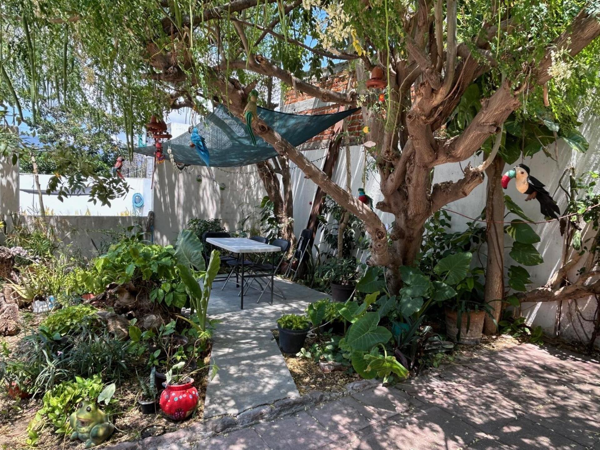 Tuxtla Gutiérrez Hotel Villa Esmeralda מראה חיצוני תמונה